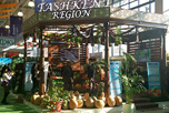 На прошедшей Международной ярмарке плодоовощной продукции в Ташкенте узбекские компании заключили контракты на поставку овощей и фруктов в размере 1,4 миллиона тонн продукции.